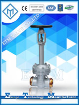 美標(biāo)波紋管密封閘閥